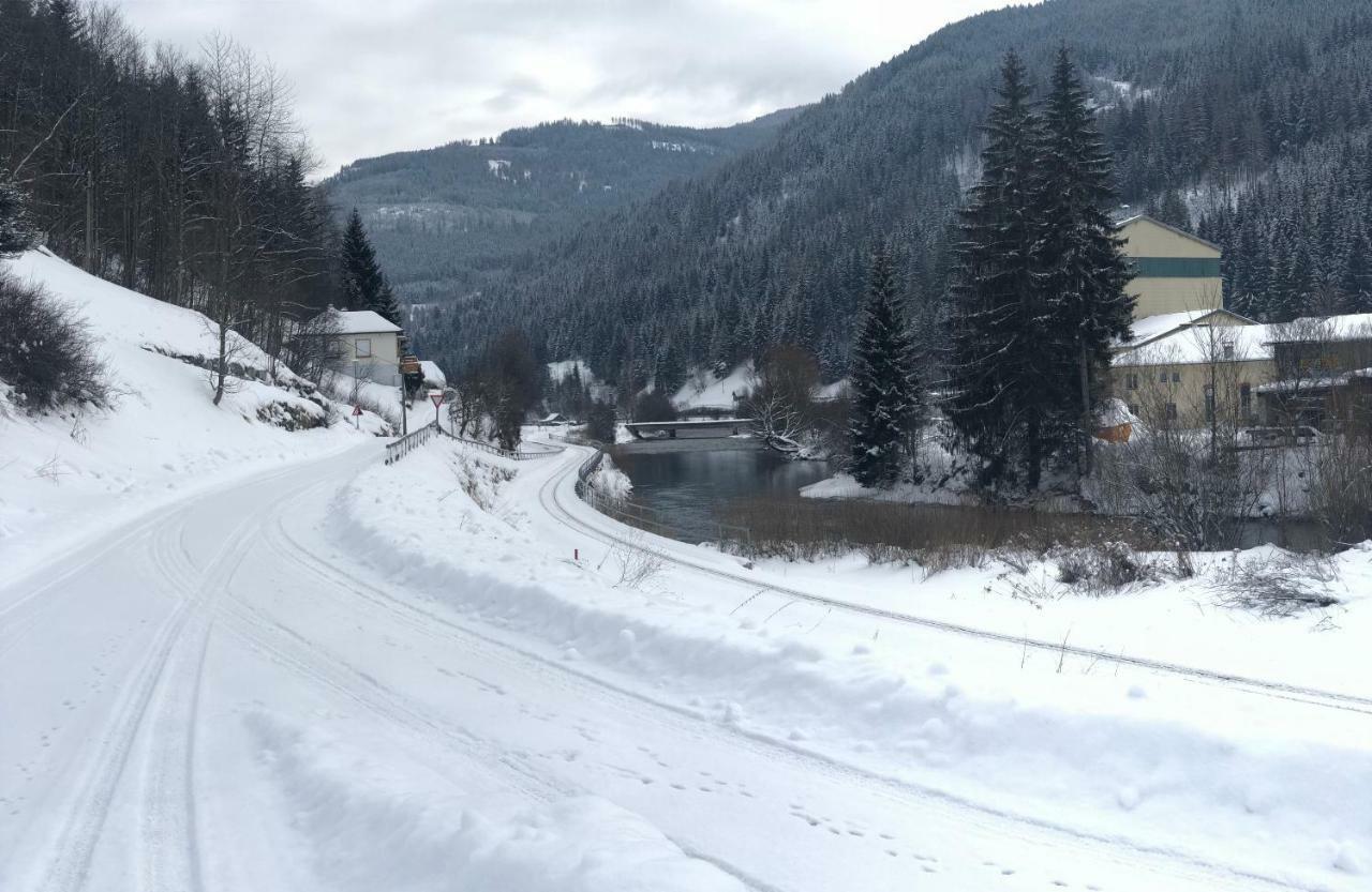 Riverside Ski Apartment Ramingstein المظهر الخارجي الصورة