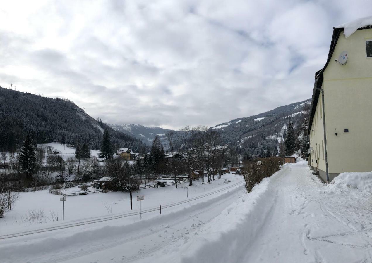 Riverside Ski Apartment Ramingstein المظهر الخارجي الصورة